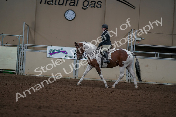 2019 Morgan Horse Show - Aug 30, 2019 - 14915