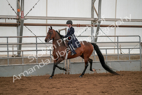 July 19, 2019 - 3795