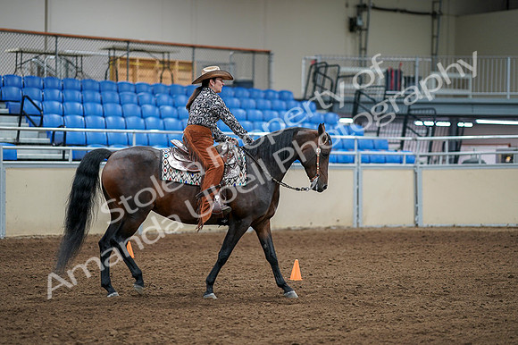 2020 - AB Morgan Horse - Fri, Sept 04 - 00393