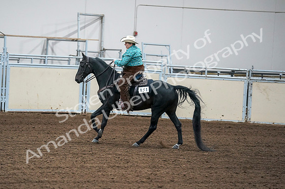 2020 - AB Morgan Horse - Fri, Sept 04 - 00466