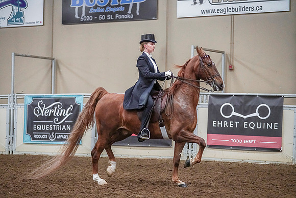 Spring Fling - Saturday - April 20, 2019  -  04199