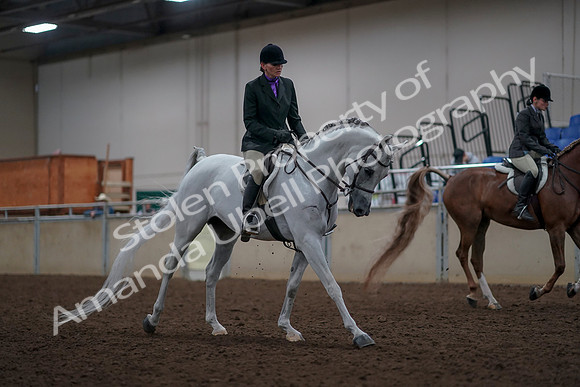 2019 Morgan Horse Show - Aug 31, 2019 - 16107