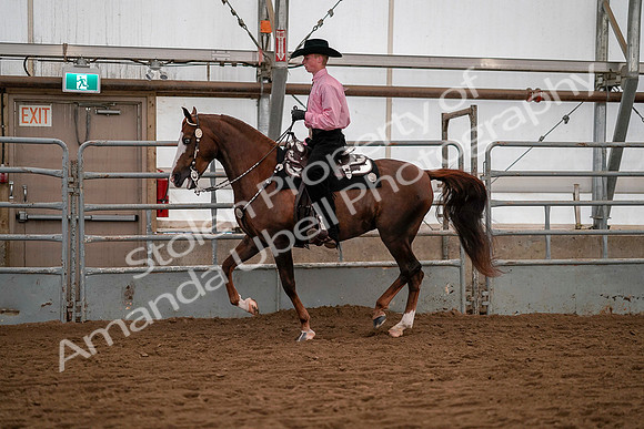 July 19, 2019 - 9986
