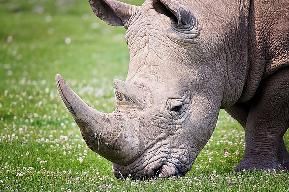 Zoo - 025