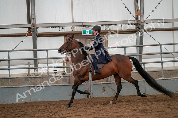 July 19, 2019 - 4003