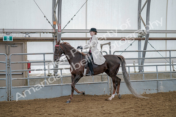 July 20, 2019 - 14654