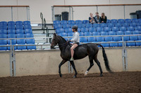 2019 Morgan Horse Show - Aug 30, 2019 - 31038
