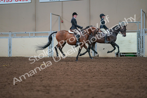 2019 Morgan Horse Show - Aug 30, 2019 - 21004