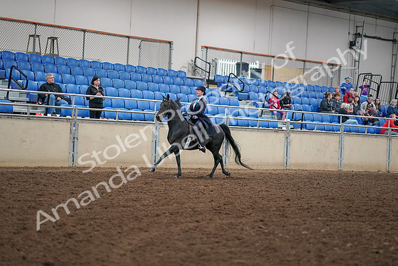 2019 Morgan Horse Show - Aug 30, 2019 - 12319