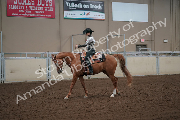 2019 Morgan Horse Show - Aug 30, 2019 - 26044