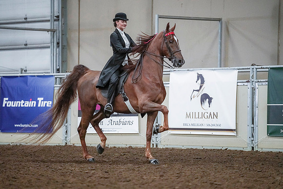 Spring Fling - Saturday - April 20, 2019  -  00527
