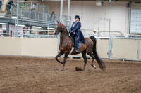 2020 - AB Morgan Horse - Fri, Sept 04 - 07865