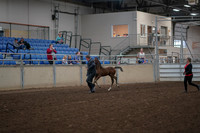 2019 Morgan Horse Show - Aug 31, 2019 - 00361