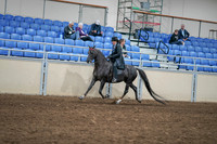 2020 - AB Morgan Horse - Sat, Sept 05 - 00831