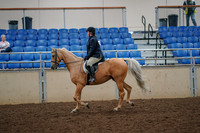 2019 Morgan Horse Show - Aug 30, 2019 - 22188