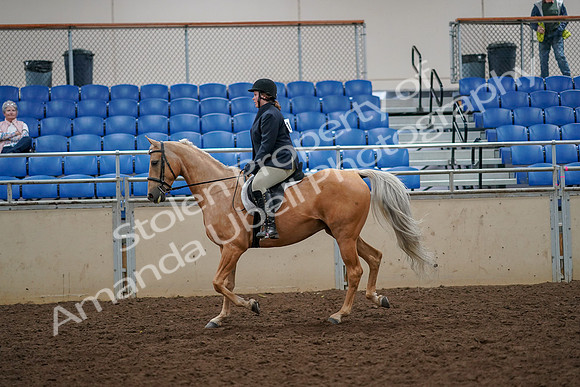 2019 Morgan Horse Show - Aug 30, 2019 - 22188