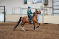 2020 - AB Morgan Horse - Fri, Sept 04 - 08677