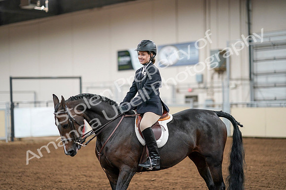 2020 - AB Morgan Horse - Fri, Sept 04 - 02077