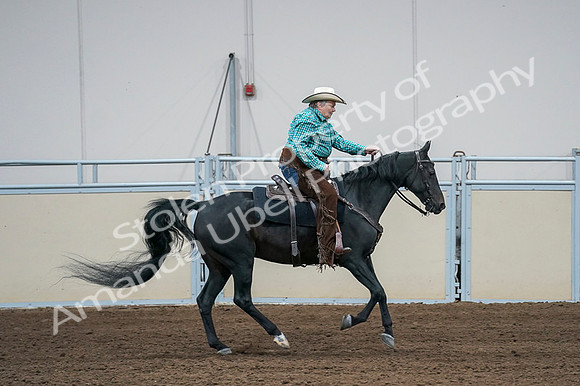 2020 - AB Morgan Horse - Fri, Sept 04 - 00492