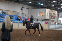 2019 Morgan Horse Show - Aug 30, 2019 - 12125