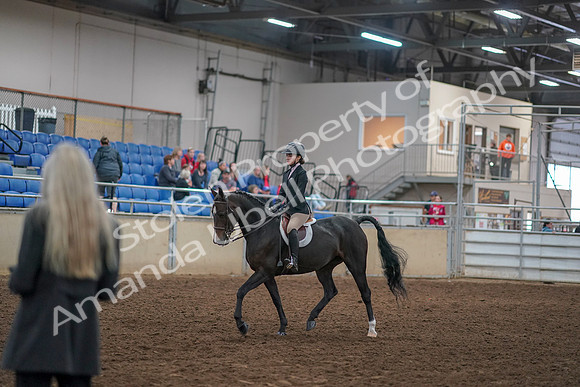 2019 Morgan Horse Show - Aug 30, 2019 - 12125