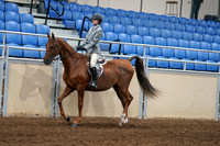 2020 - AB Morgan Horse - Fri, Sept 04 - 02952