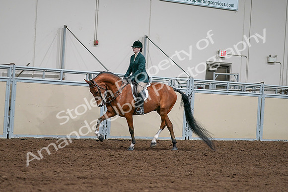 2020 - AB Morgan Horse - Sat, Sept 05 - 05011