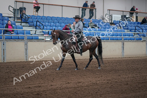 2019 Morgan Horse Show - Sept 01, 2019 - 06784