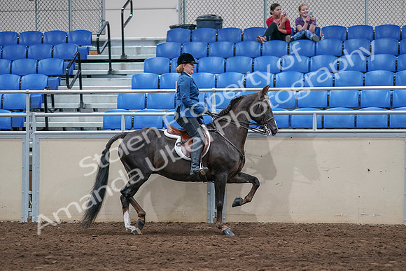 2020 - AB Morgan Horse - Sat, Sept 05 - 05222