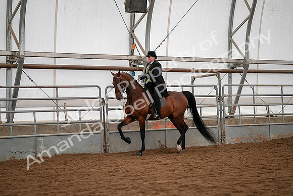 July 19, 2019 - 10491