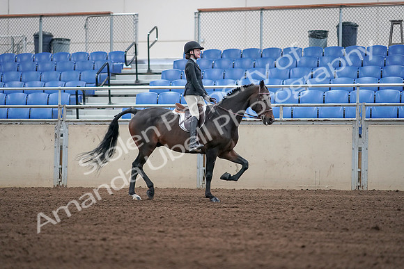 2019 Morgan Horse Show - Sept 01, 2019 - 03822