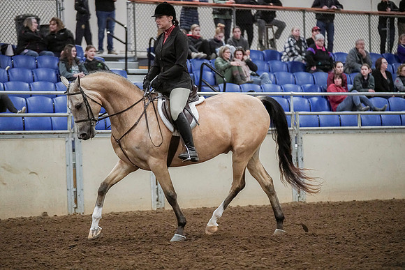 Spring Fling - Saturday - April 20, 2019  -  04596