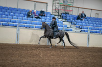 2020 - AB Morgan Horse - Sat, Sept 05 - 00830