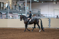 2020 - AB Morgan Horse - Fri, Sept 04 - 01983