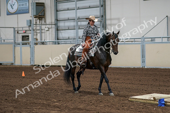 2020 - AB Morgan Horse - Fri, Sept 04 - 00301