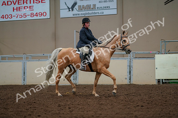 2019 Morgan Horse Show - Aug 30, 2019 - 22615