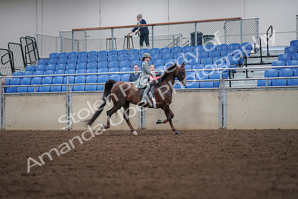 2019 Morgan Horse Show - Aug 30, 2019 - 18102
