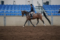 2019 Morgan Horse Show - Sept 01, 2019 - 08516