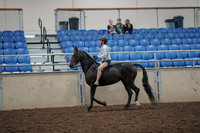 2019 Morgan Horse Show - Aug 30, 2019 - 31034