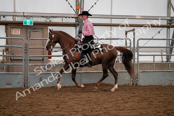 July 19, 2019 - 9987
