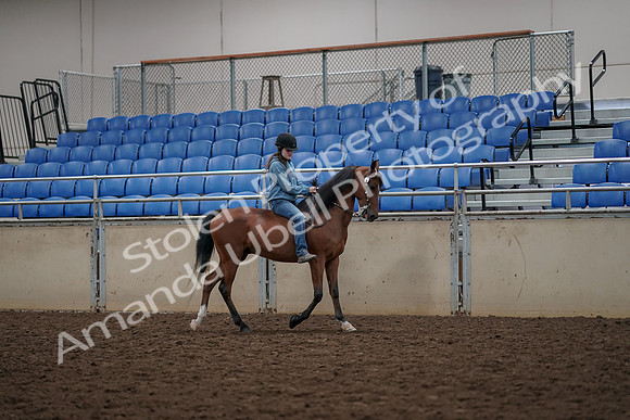 2019 Morgan Horse Show - Aug 30, 2019 - 31337