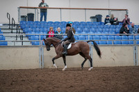 2019 Morgan Horse Show - Aug 31, 2019 - 15863