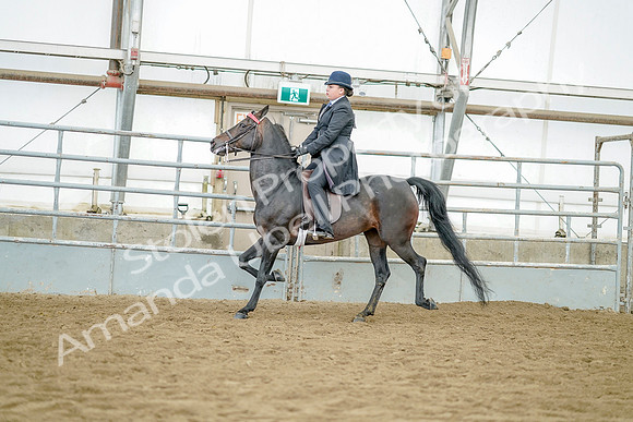 July 21, 2019 - 11910