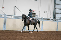 2020 - AB Morgan Horse - Sat, Sept 05 - 09053