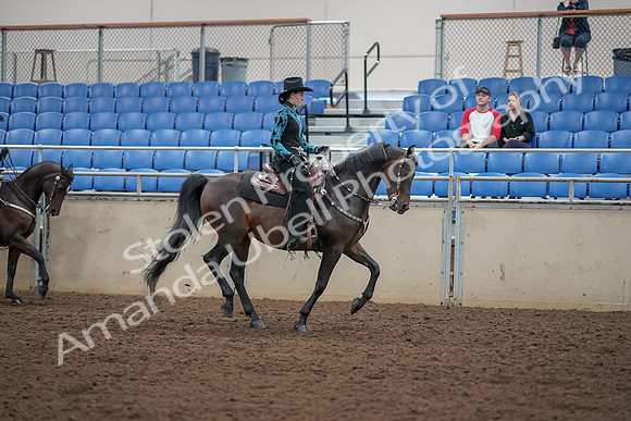 2019 Morgan Horse Show - Aug 30, 2019 - 26168
