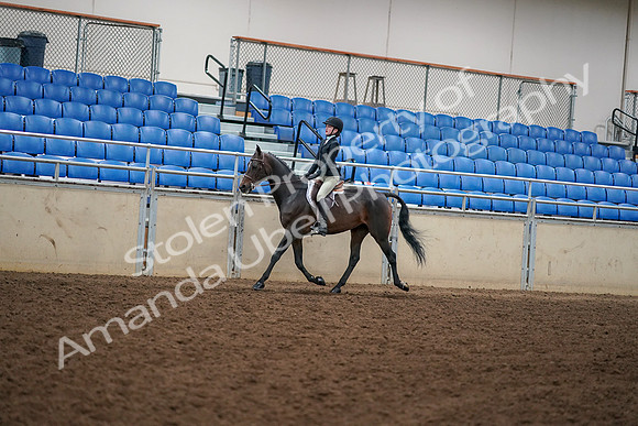 2019 Morgan Horse Show - Aug 30, 2019 - 12248