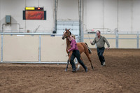 2020 - AB Morgan Horse - Fri, Sept 04 - 07590