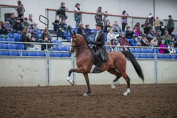 Spring Fling - Saturday - April 20, 2019  -  00610