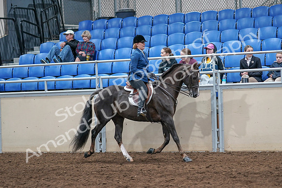 2020 - AB Morgan Horse - Sat, Sept 05 - 05088