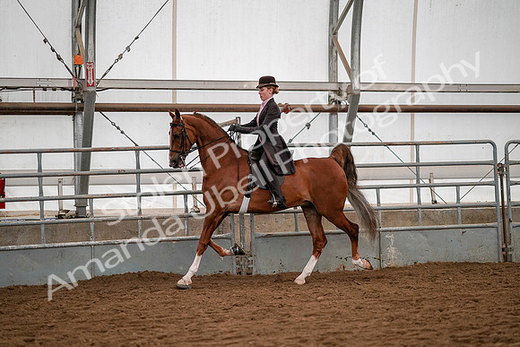 July 19, 2019 - 10337